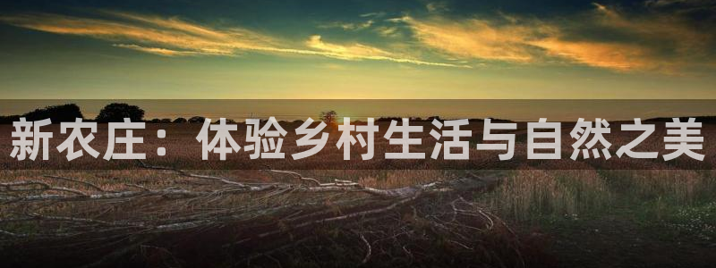 娱乐解说摩根