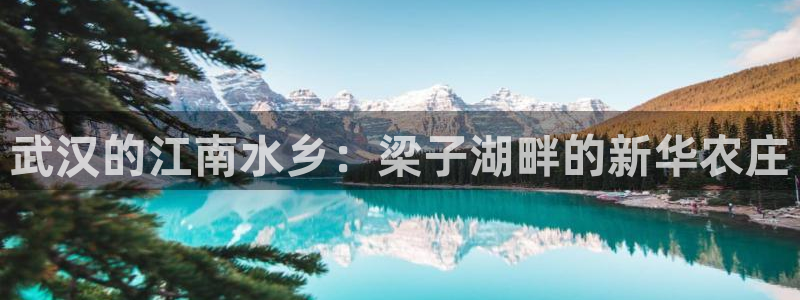 义乌摩根娱乐会所地址