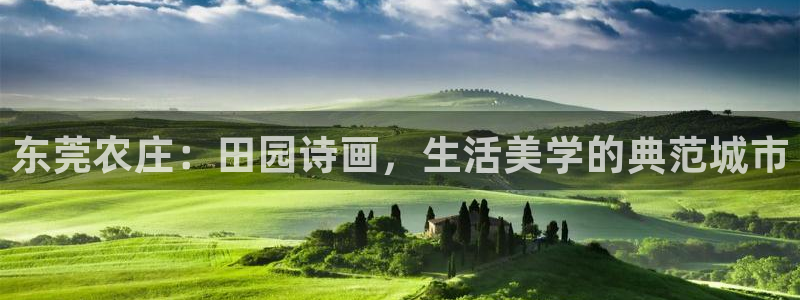 摩根娱乐二三事