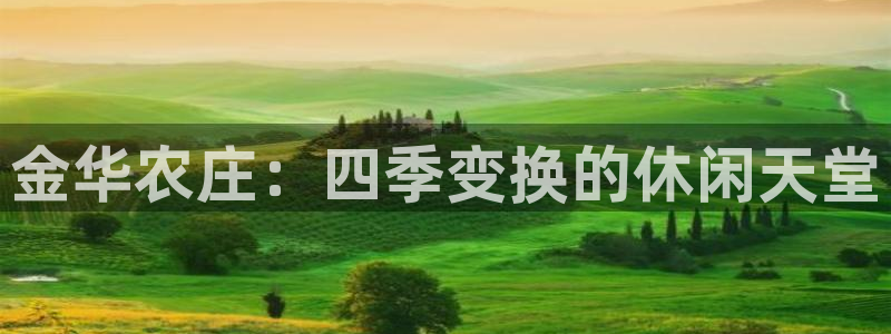 摩根娱乐宝微交易