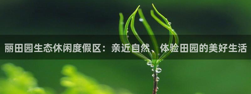摩根娱乐部