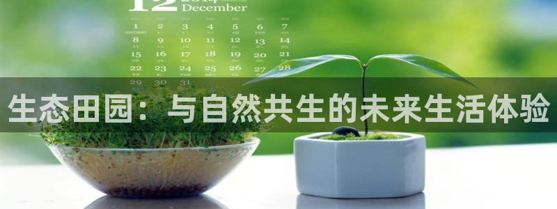 义乌摩根娱乐会所图片