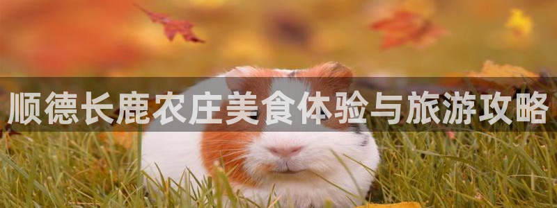 摩根娱乐登录网址