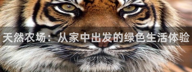 摩根娱乐是骗局吗?