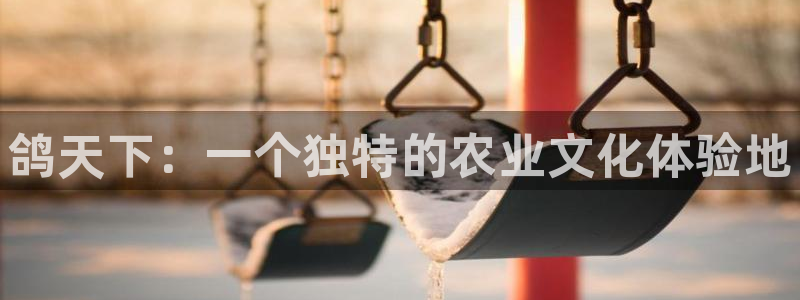义乌摩根娱乐