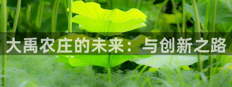 摩根娱乐注册m总管