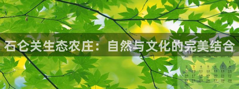 摩根360休闲娱乐