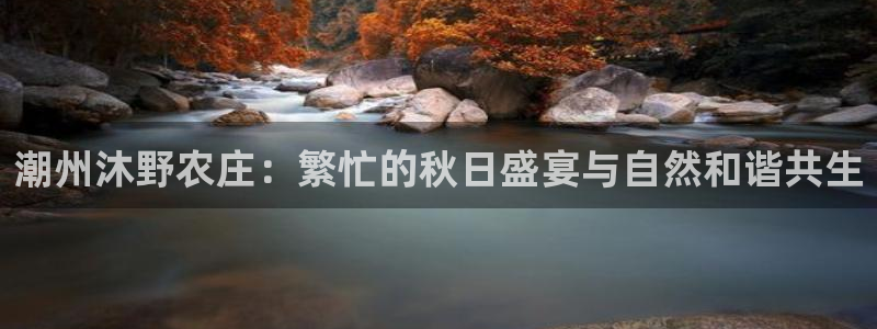 摩根娱乐 总s管50015