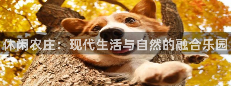 摩根娱乐宝总部