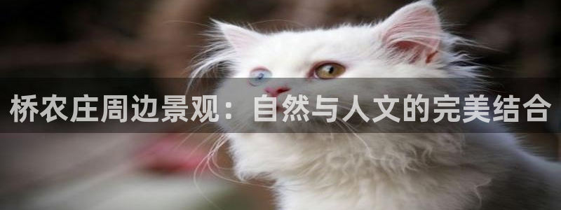 摩根大通王者娱乐
