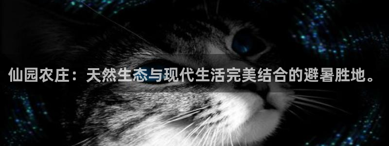摩根2娱乐