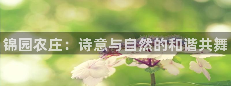 嘉兴摩根大饭店 娱乐