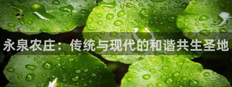泉州摩根会娱乐会所地址