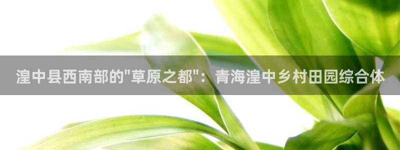 白宫摩根会娱乐会所