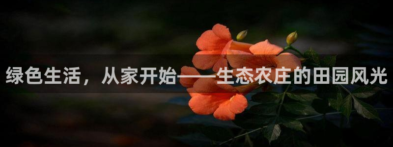 义乌摩根娱乐会所老板