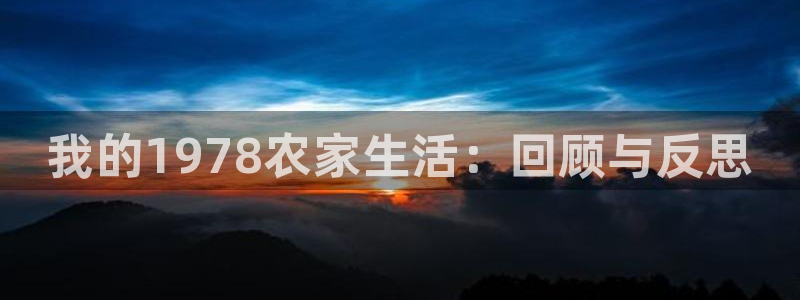 摩根娱乐宝代理