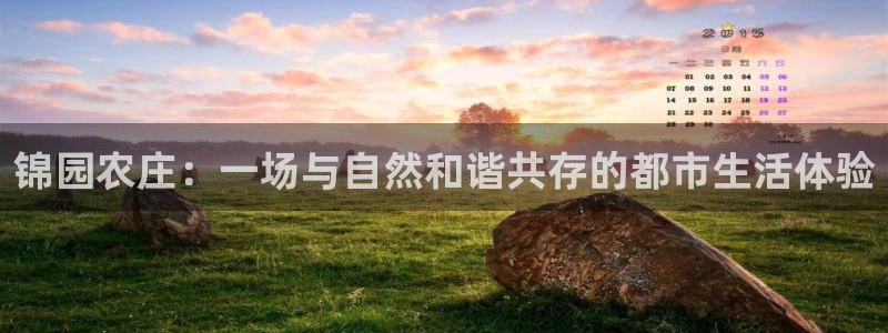 摩根娱乐宝微信客服