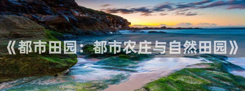 摩根娱乐宝怎么赚钱的