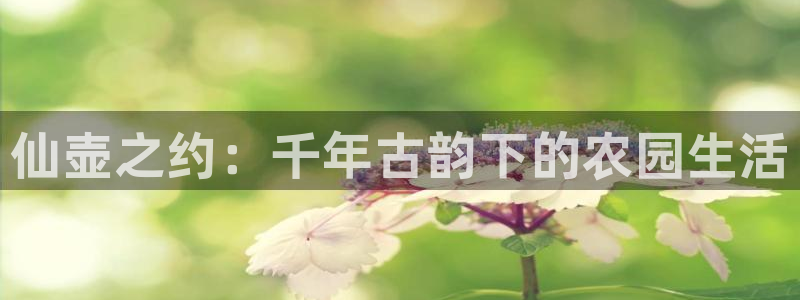 成都摩根娱乐会所