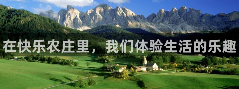 摩根娱乐挂机项目有哪些