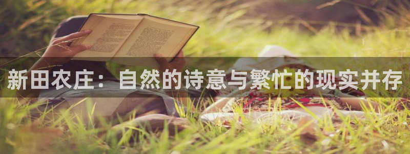 摩根 娱乐宝诈骗