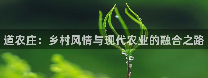 摩根娱乐宝是什么游戏