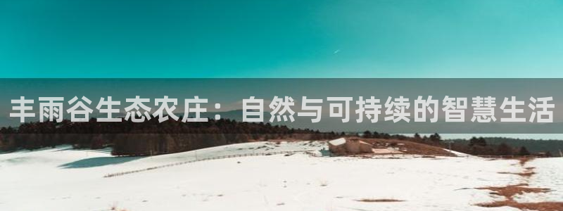 摩根国际娱乐宝书籍