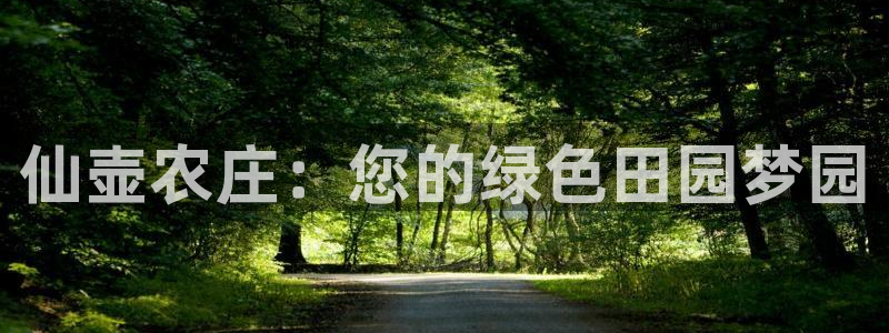 摩根娱乐二三事