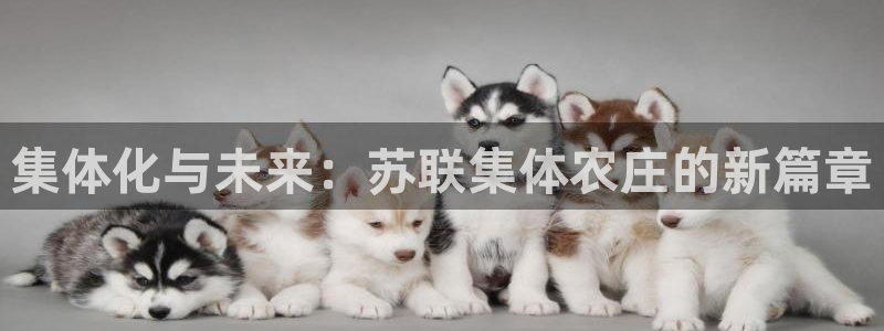 摩根娱乐平台云挂机安全吗