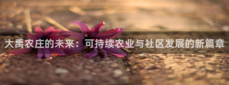 摩根娱乐 c招a商77130