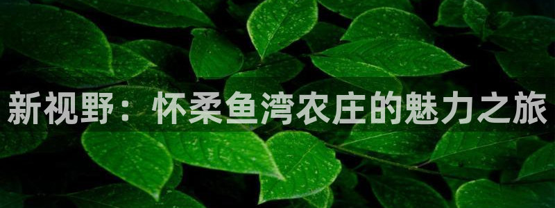 摩根娱乐宝是骗局吗
