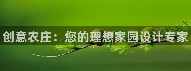 摩根娱乐宝怎么玩