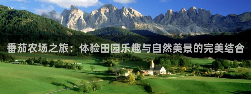 摩根国际娱乐宝