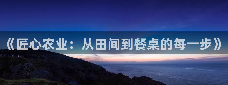 柬埔寨西港摩根娱乐