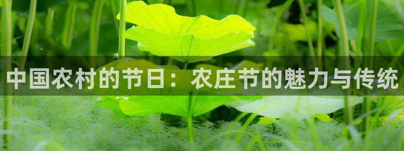 摩根娱乐宝怎么下载