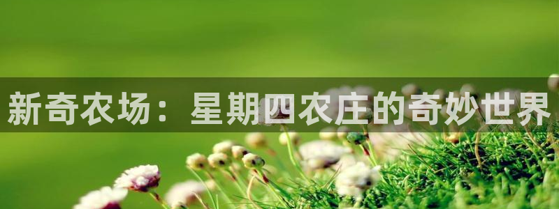 义乌摩根娱乐会所邮箱