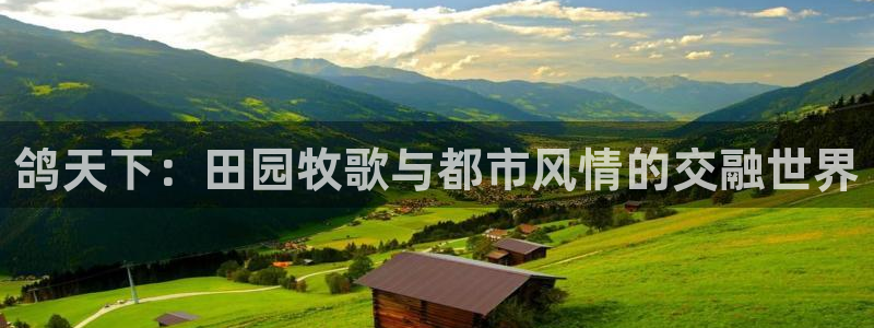 临平摩根娱乐会所怎么样