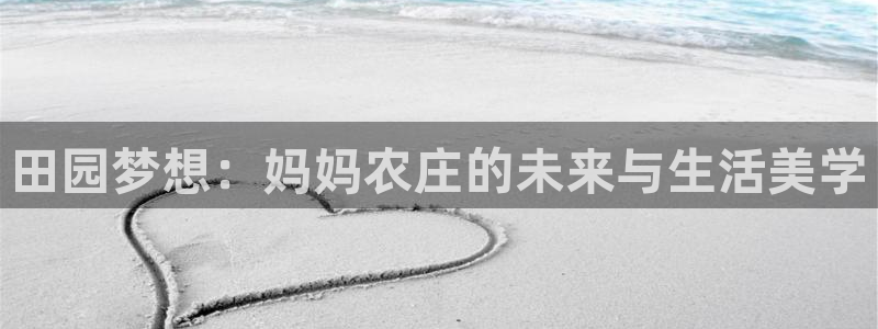 芜湖摩根一百有哪些娱乐