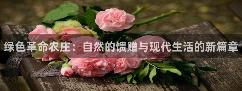 摩根娱乐 1老j板50820