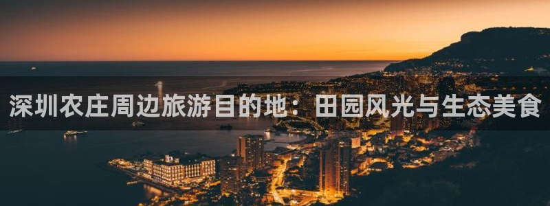 华视娱乐摩根王琛