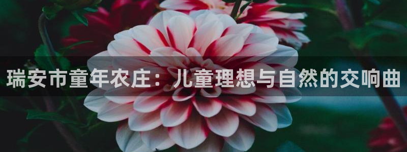 摩根娱乐会所门头