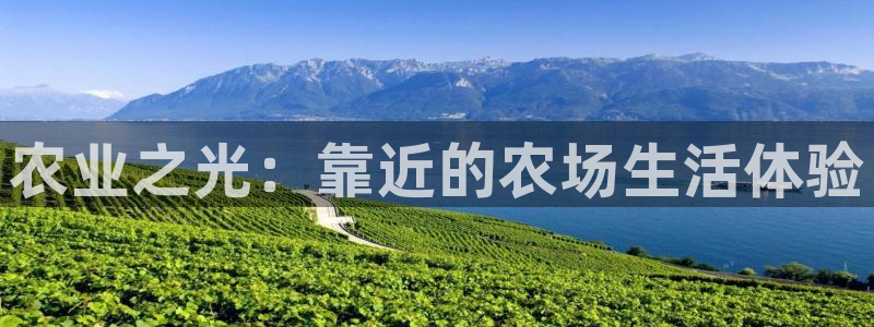 摩根360休闲娱乐