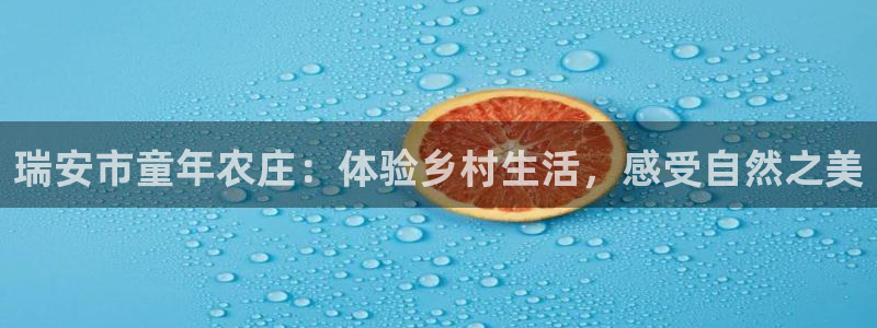 摩根娱乐宝机构代码