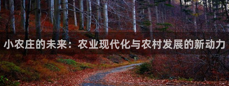 摩根娱乐宝怎么盈利