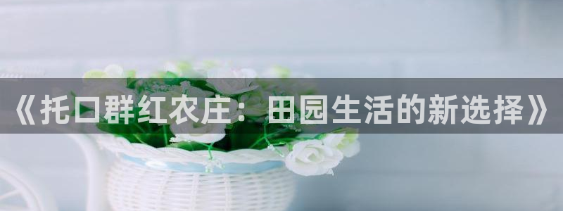 摩根娱乐开户总s管50015 18