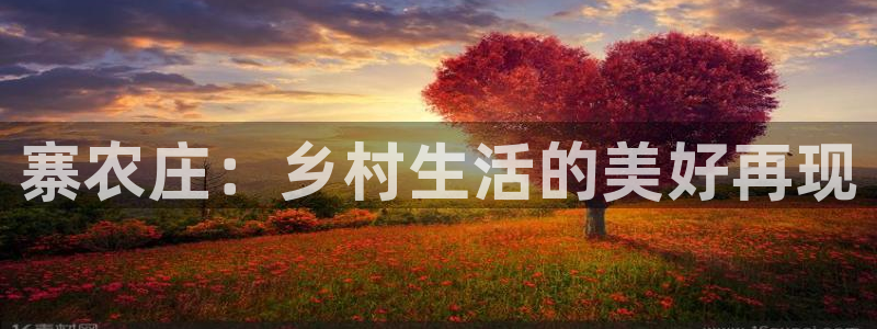 白宫摩根娱乐地址