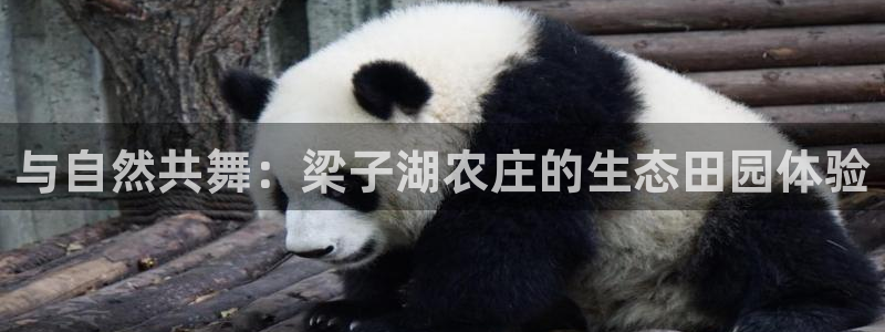 临平摩根娱乐会所怎么样