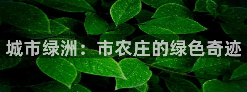 泉州摩根会娱乐保安招聘