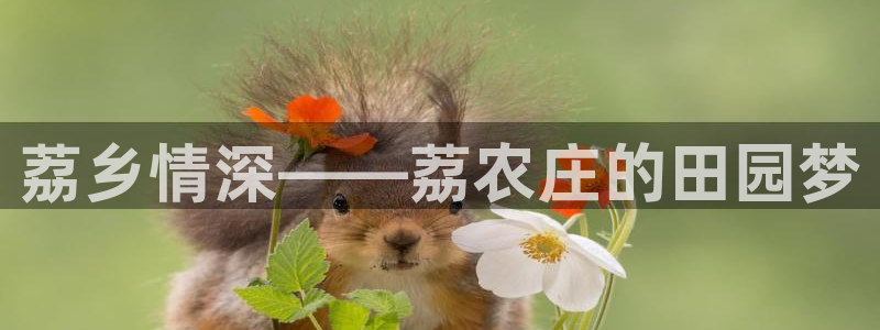 摩根会娱乐会所