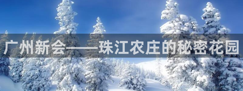 摩根娱乐二三事